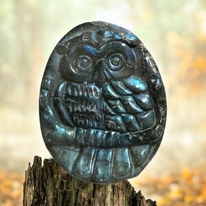 Cute Labradorite Owl Carving